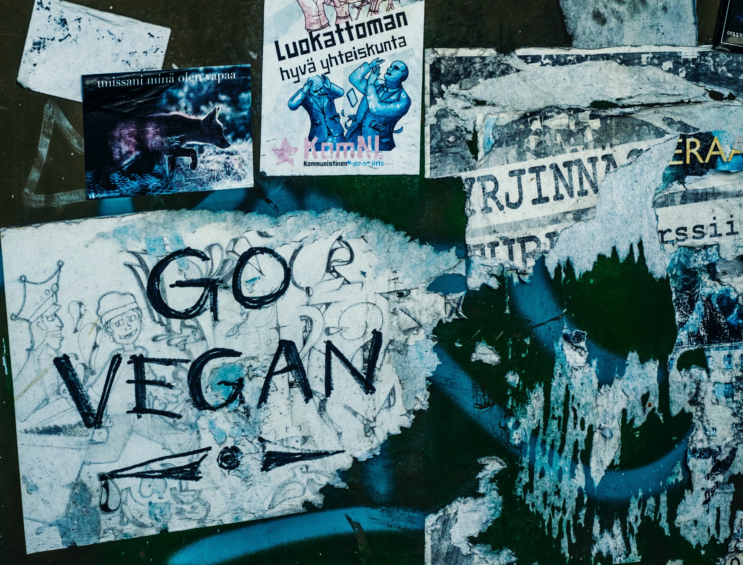 Go Vegan graffiti on a wall covered with stickers